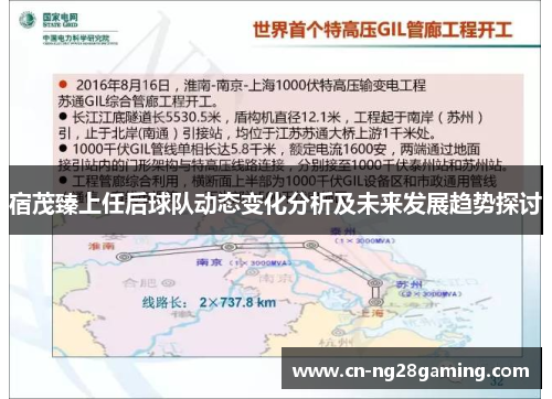 宿茂臻上任后球队动态变化分析及未来发展趋势探讨