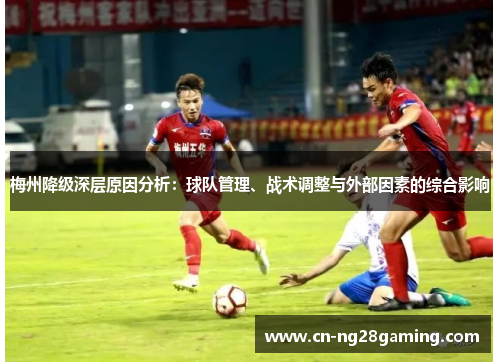 梅州降级深层原因分析：球队管理、战术调整与外部因素的综合影响