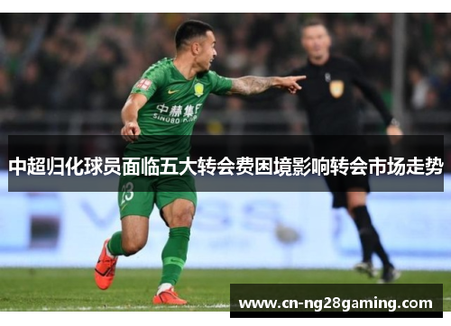中超归化球员面临五大转会费困境影响转会市场走势