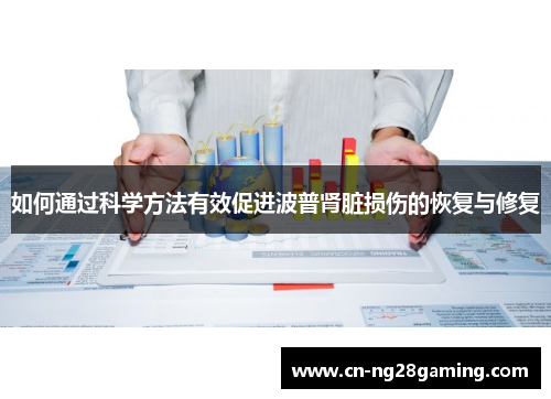 如何通过科学方法有效促进波普肾脏损伤的恢复与修复