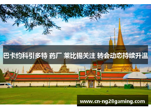 巴卡约科引多特 药厂 莱比锡关注 转会动态持续升温