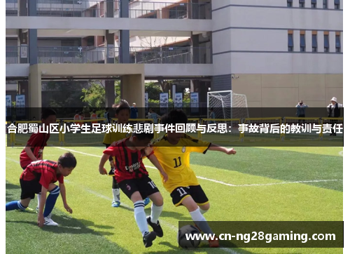 合肥蜀山区小学生足球训练悲剧事件回顾与反思：事故背后的教训与责任