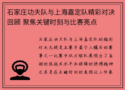 石家庄功夫队与上海嘉定队精彩对决回顾 聚焦关键时刻与比赛亮点