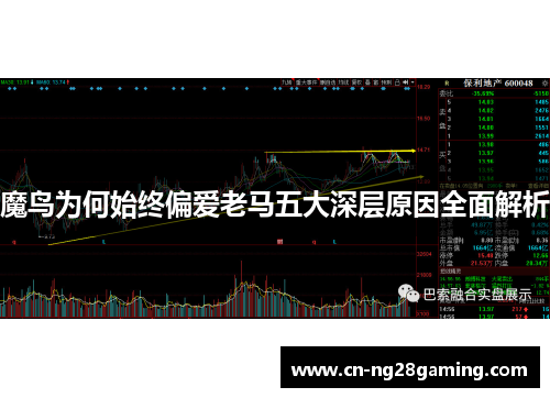 魔鸟为何始终偏爱老马五大深层原因全面解析