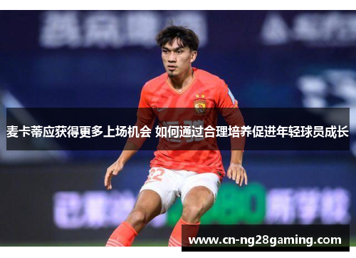 麦卡蒂应获得更多上场机会 如何通过合理培养促进年轻球员成长 麦卡蒂应获得更多上场机会 如何通过合理培养促进年轻球员成长