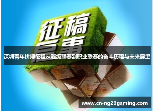 深圳青年拼搏征程从超级联赛到职业联赛的奋斗历程与未来展望